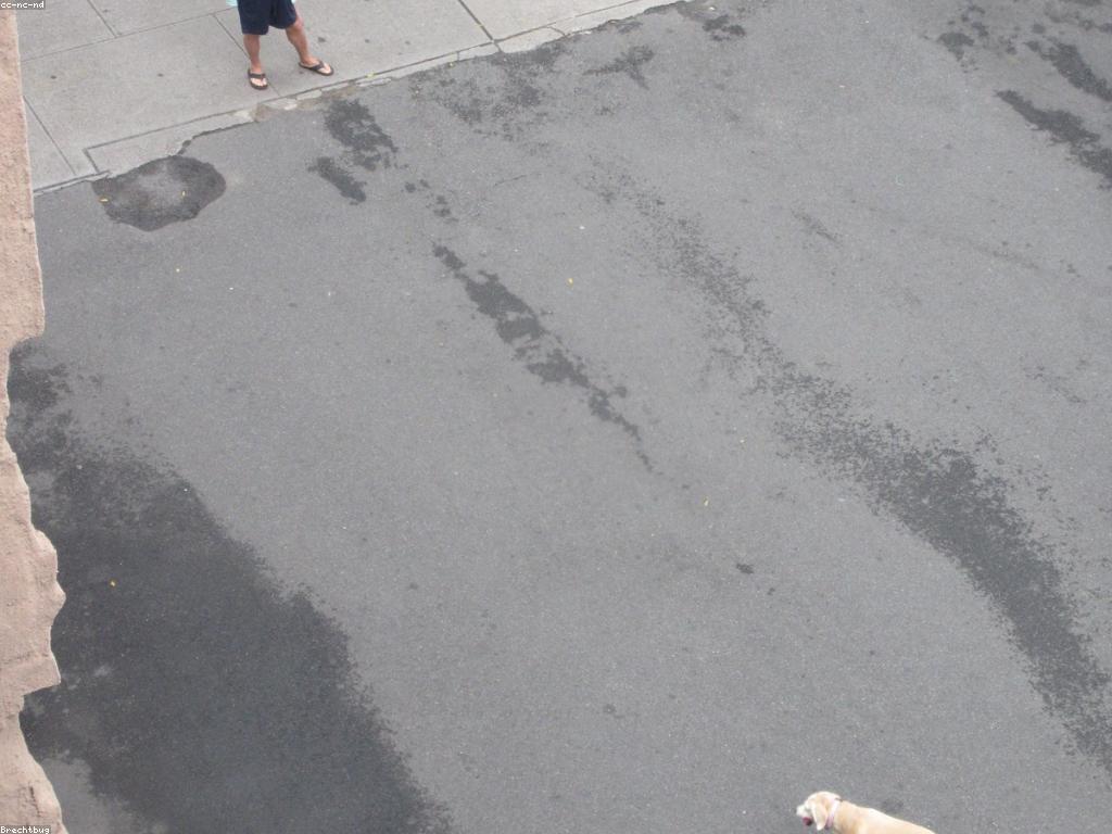 ហ្គេមស្លុតថ្មី: ពិភពនៃការលក់ឈ្នះ